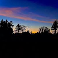 Firefly Forest Campground ico