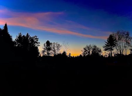 Firefly Forest Campground