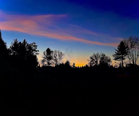 Firefly Forest Campground