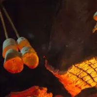 Diamond Lake Campground ico
