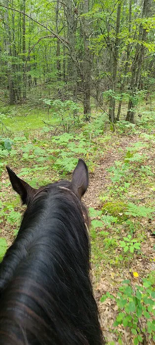 Horseshoe falls equine campground. Picture 6