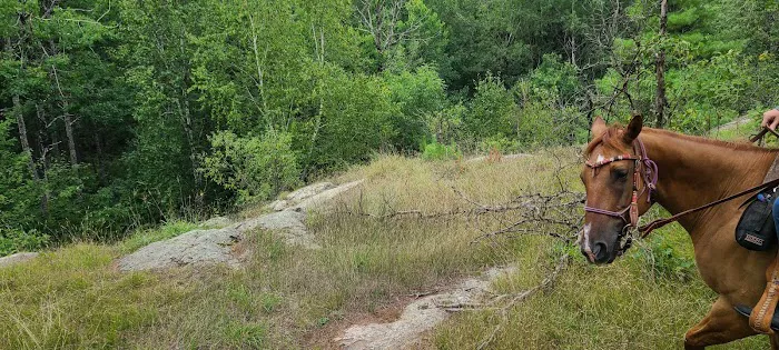Horseshoe falls equine campground. Picture 4