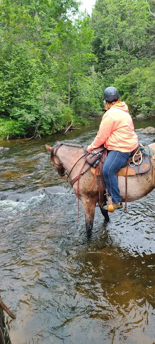 Horseshoe falls equine campground. Picture 9