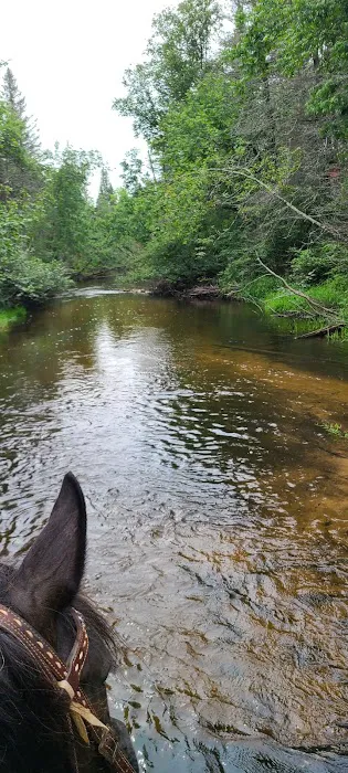 Horseshoe falls equine campground. Picture 8