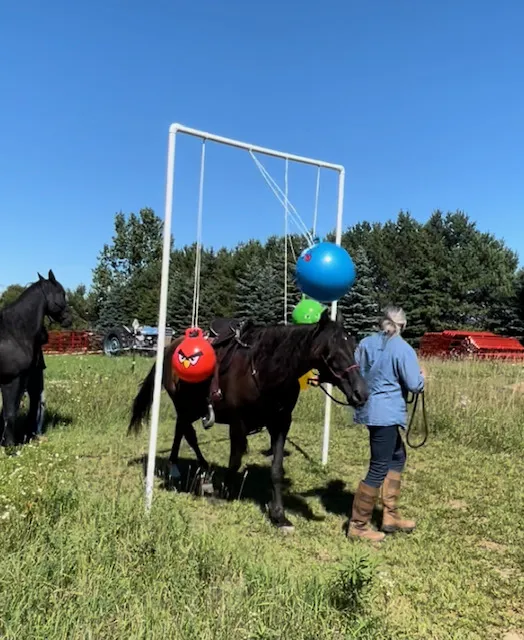 Geitner Homestead Equine Campground Picture 6