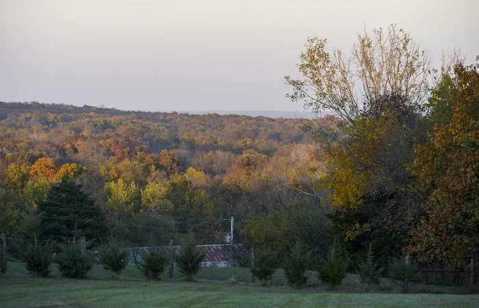 Homewood RV and Campground Picture 1