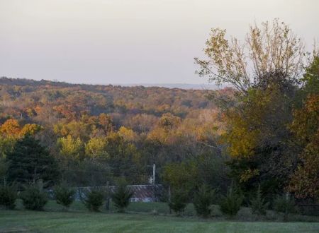 Homewood RV and Campground