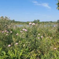 Wakonda Lake Campground ico