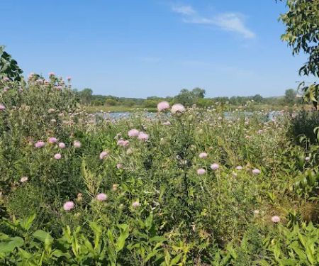Wakonda Lake Campground