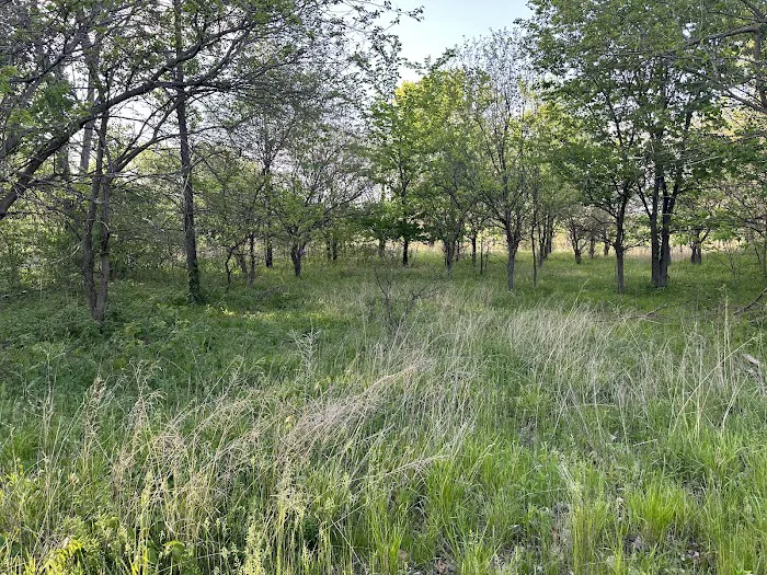 Wakonda Lake Campground Picture 10