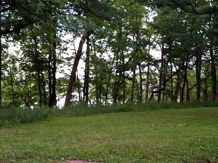 Pittsfield Lake Campground Picture 10