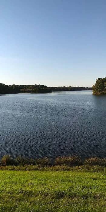 Pittsfield Lake Campground Picture 3