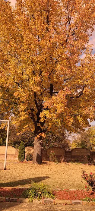 Estes Park Picture 2