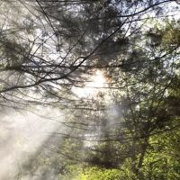Pine Grove Campground ico