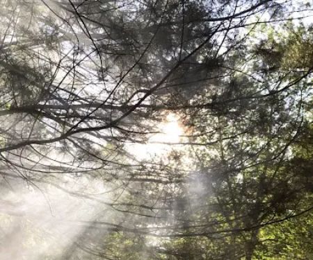 Pine Grove Campground