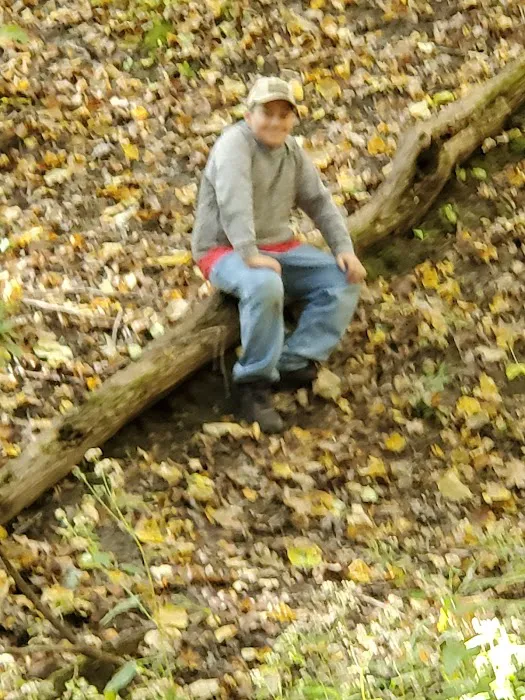 Pine Grove Campground Picture 2