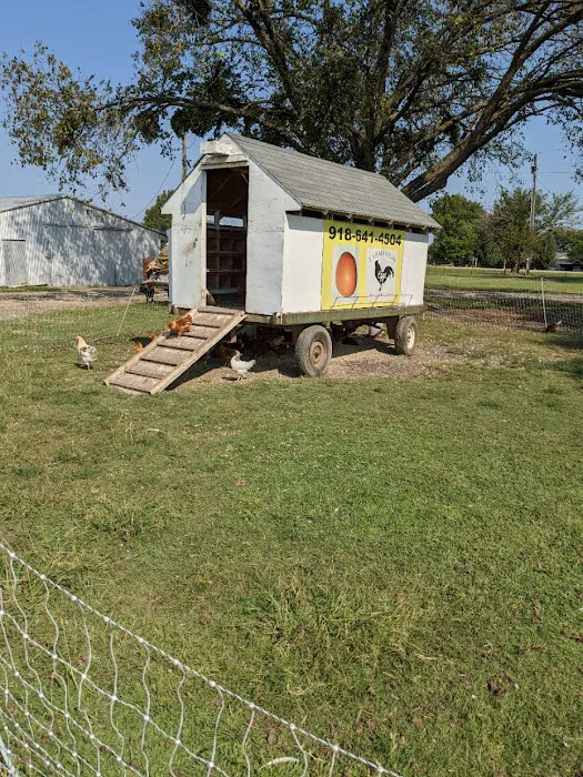 Morris RV Park Picture 2