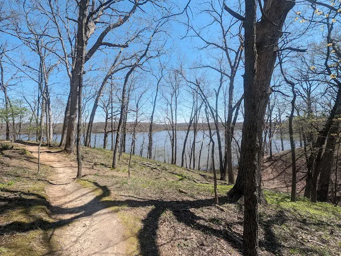 Lake Lou Yaeger Campground Picture 3