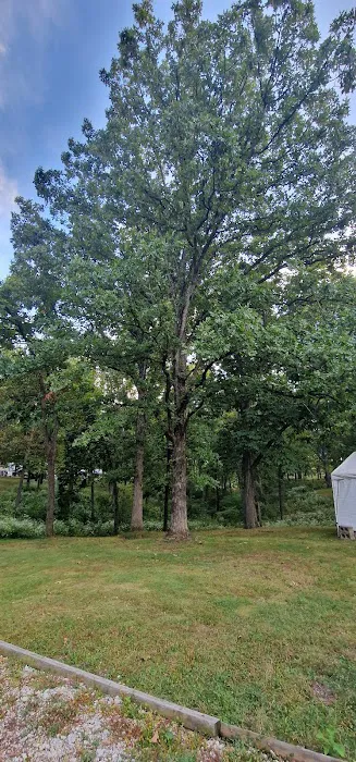 Sherwood Forest Campground Picture 3