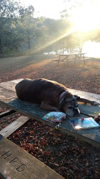 Sherwood Forest Campground Picture 9