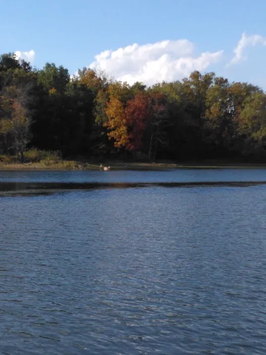 Indian Grove Campgrounds Picture 2