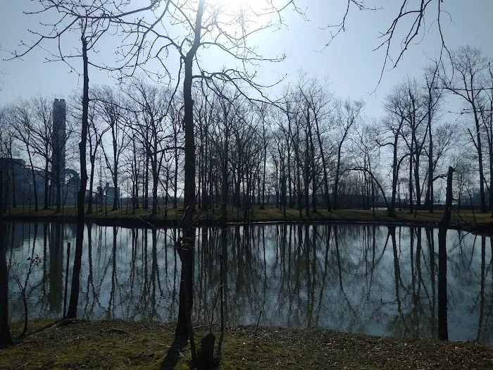 Indian Grove Campground Picture 10