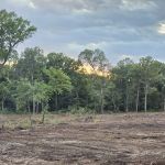 Live Oaks Rv Park C