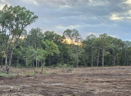 Live Oaks Rv Park C