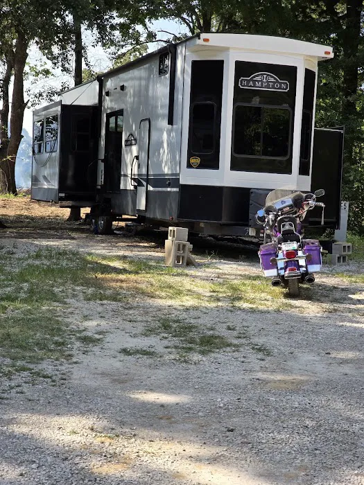 Live Oaks Rv Park C Picture 2