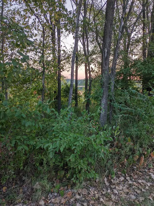 Siggelkow Park Picture 8