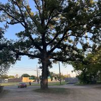Camp Paris RV Park ico