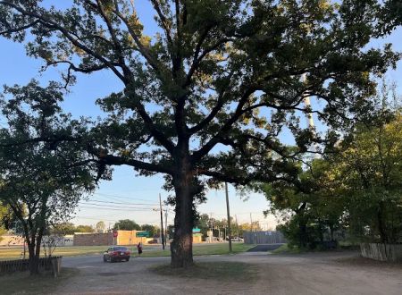 Camp Paris RV Park