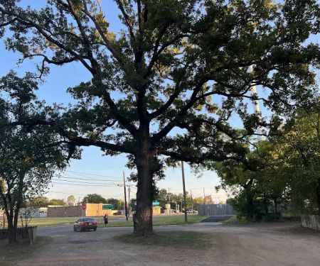 Camp Paris RV Park