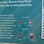 West Backpack Campsites