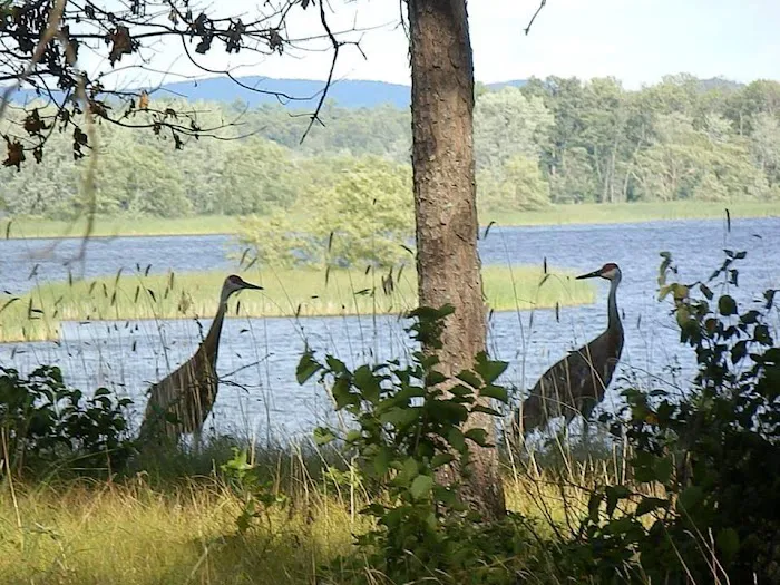 Castle Rock Lake Campground Picture 7