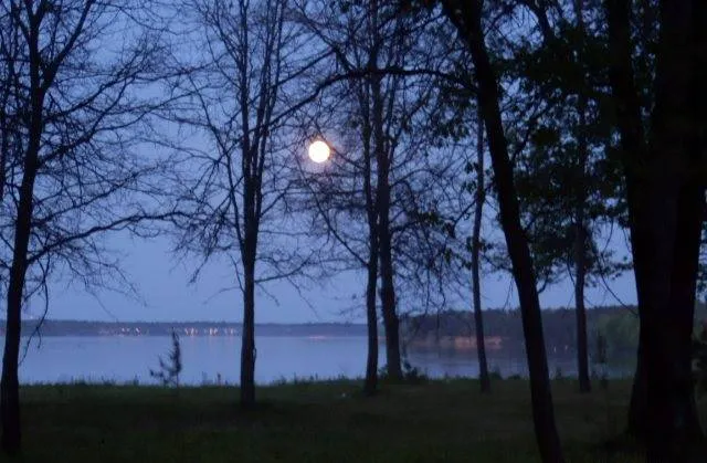 Castle Rock Lake Campground Picture 4