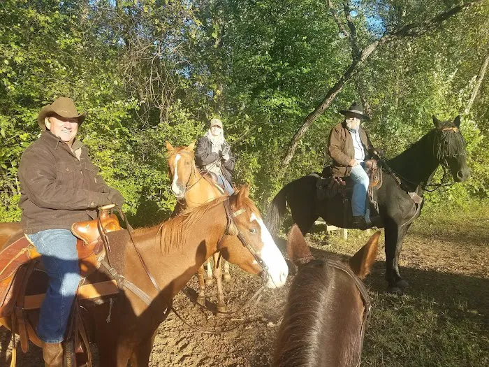 Ukarydee Equestrian Camping Picture 3