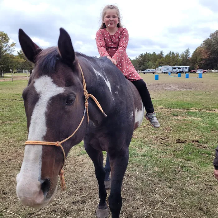 Ukarydee Equestrian Camping Picture 5