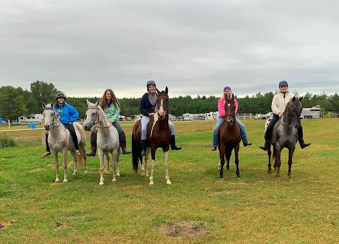 Ukarydee Equestrian Camping Picture 4