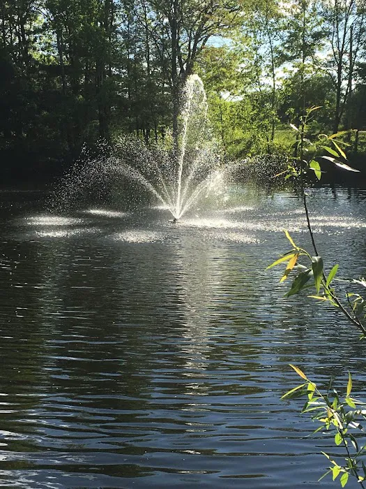 Woods Edge Campground Picture 4