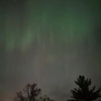 Woods Edge Campground ico