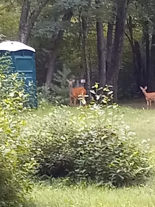 Deer Run Campground LLC Picture 6