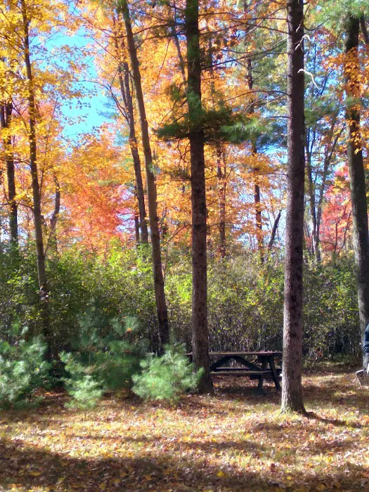 Deer Run Campground LLC Picture 2