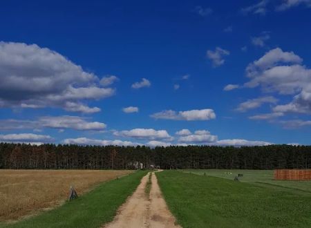 Shadow's Campground LLC