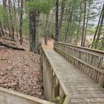 McMullen Memorial County Park