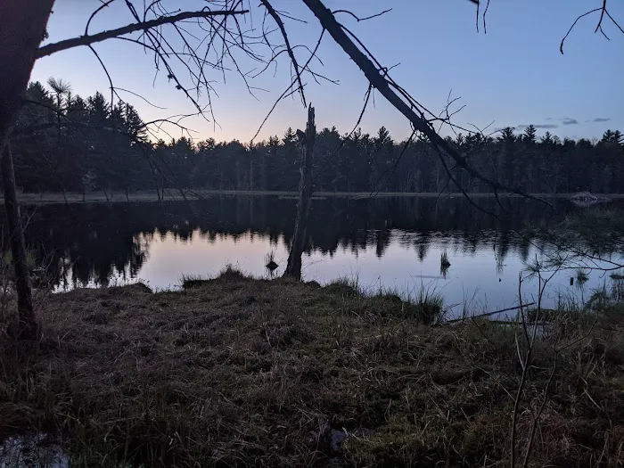 McMullen Memorial County Park Picture 4