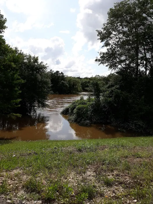 Perk Beach RV Park Picture 4