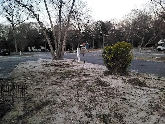 Perk Beach RV Park Picture 9