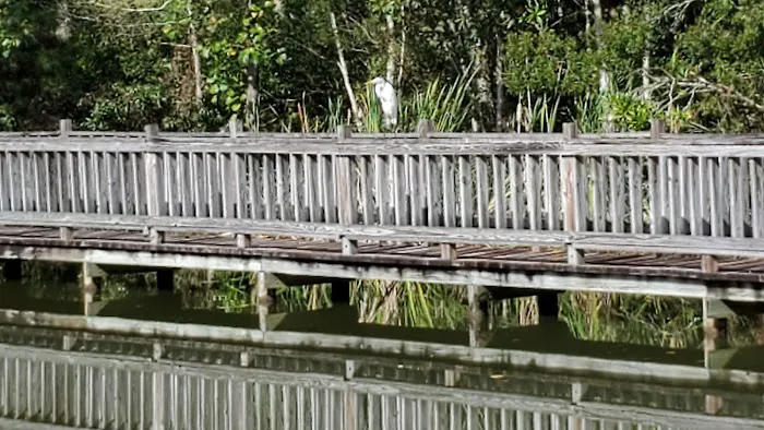 Diamond Lake RV Park Picture 9