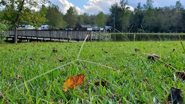 Diamond Lake RV Park Picture 8